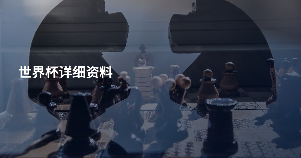 世界杯详细资料