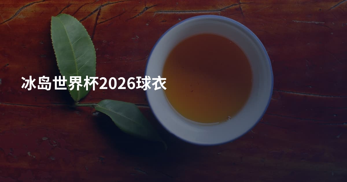 冰岛世界杯2026球衣