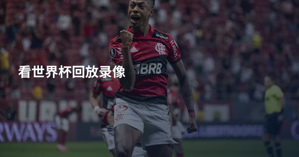 看世界杯回放录像