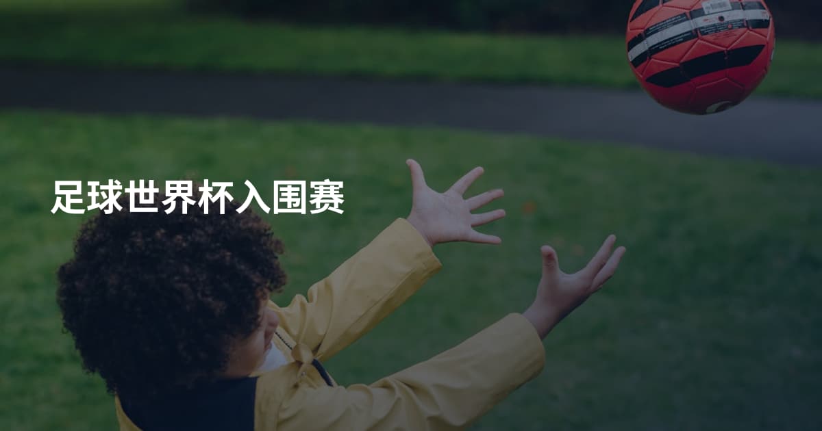 足球世界杯入围赛