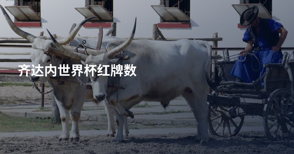 齐达内世界杯红牌数