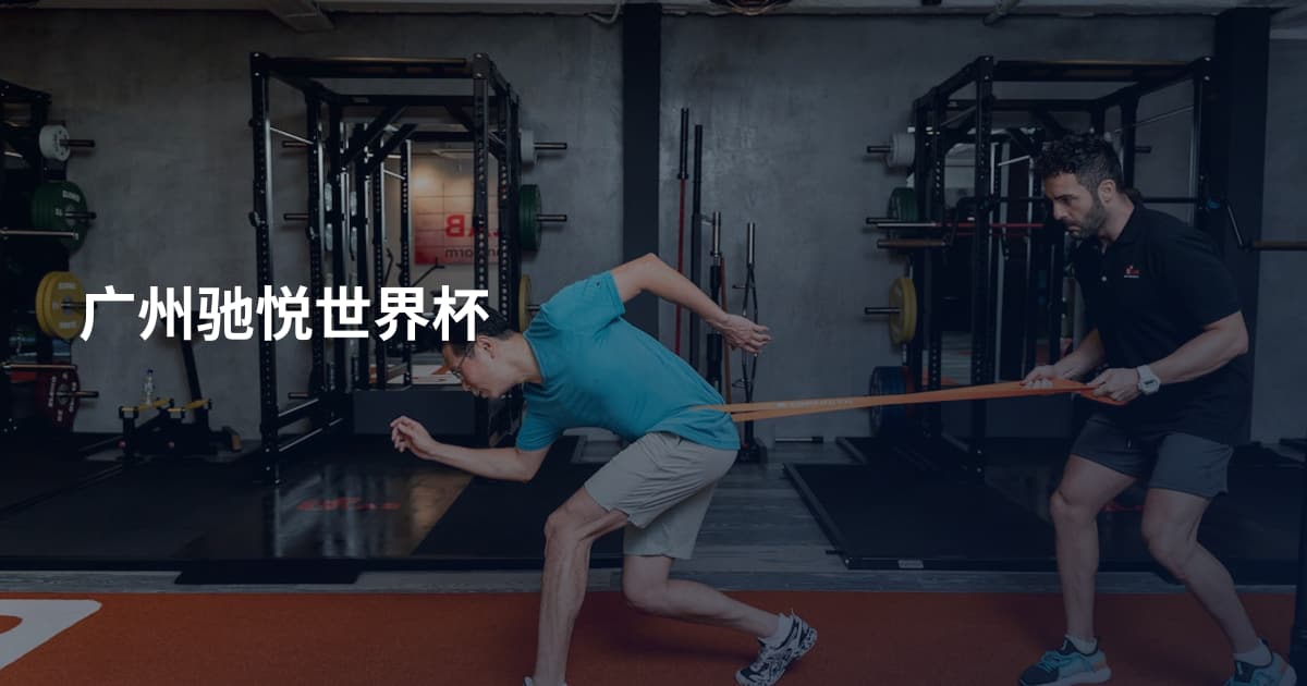 广州驰悦世界杯