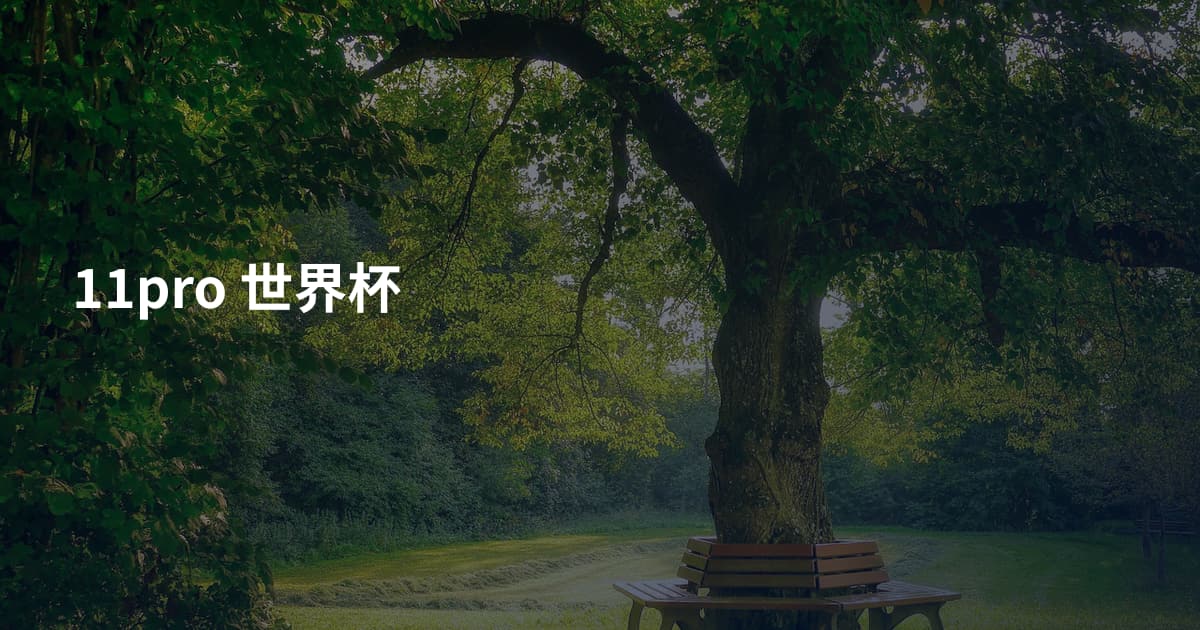 11pro 世界杯
