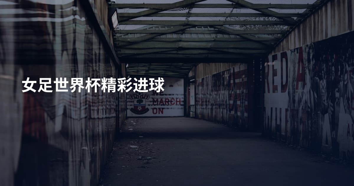 女足世界杯精彩进球