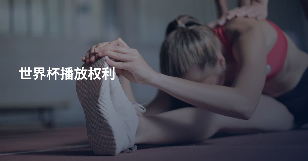 世界杯播放权利
