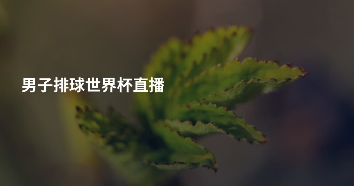 男子排球世界杯直播
