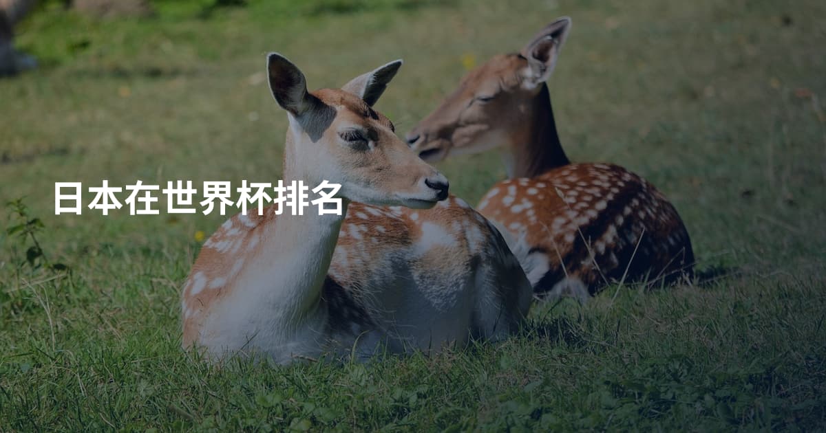 日本在世界杯排名