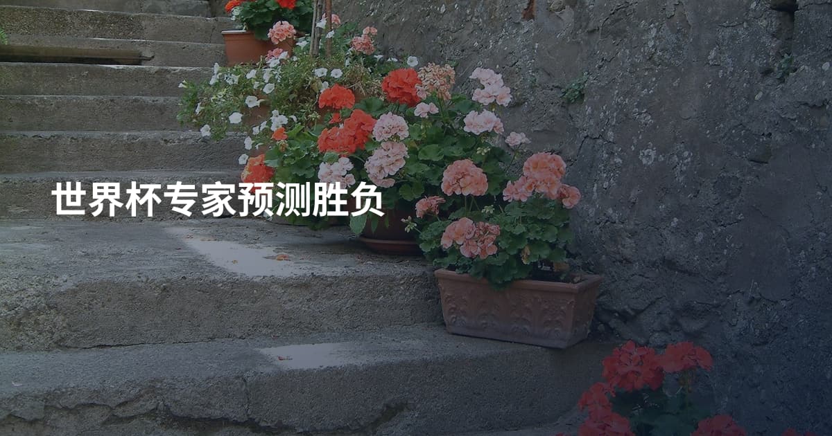世界杯专家预测胜负