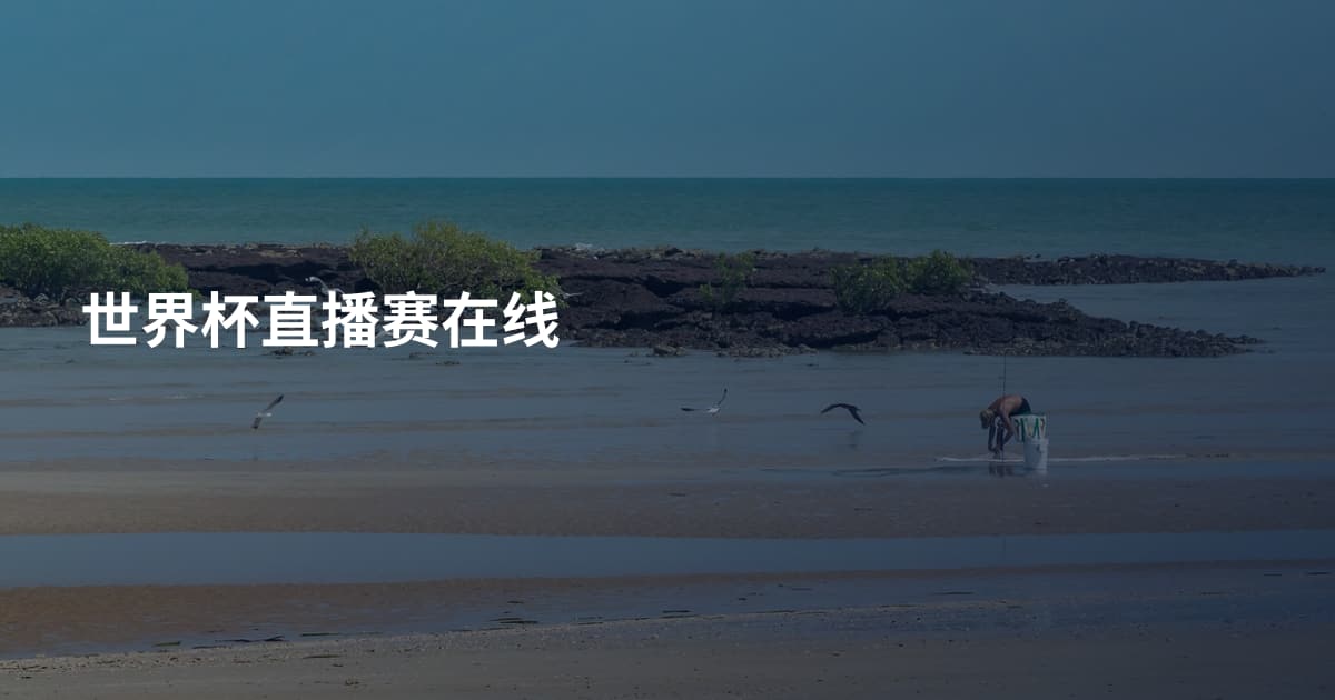世界杯直播赛在线