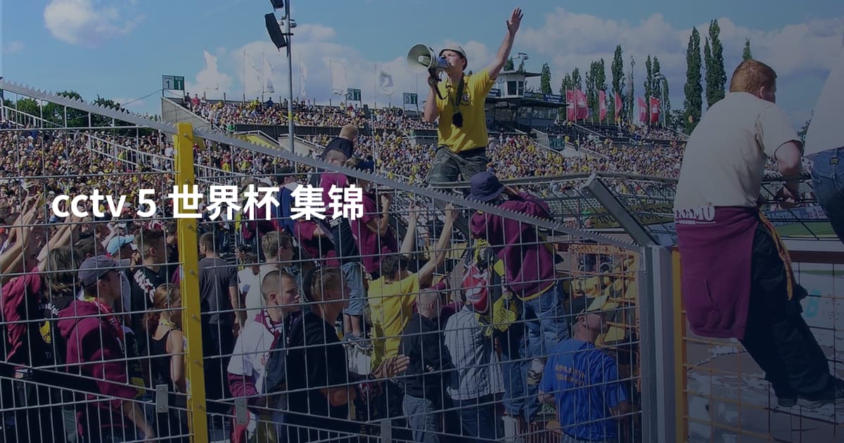 cctv 5 世界杯 集锦