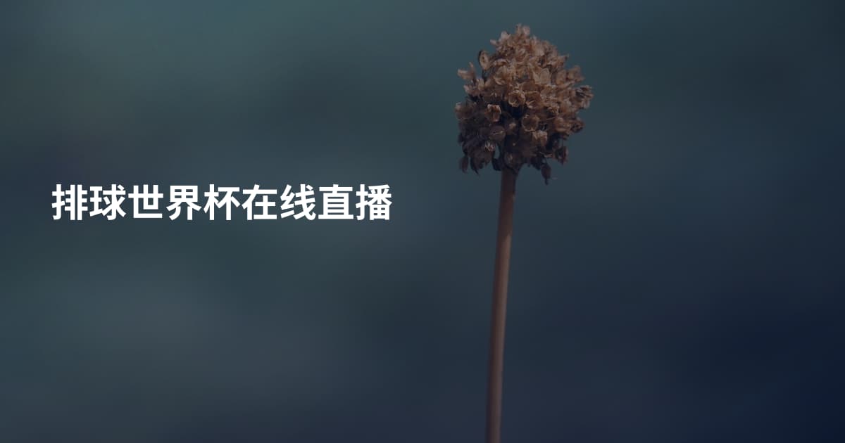 排球世界杯在线直播