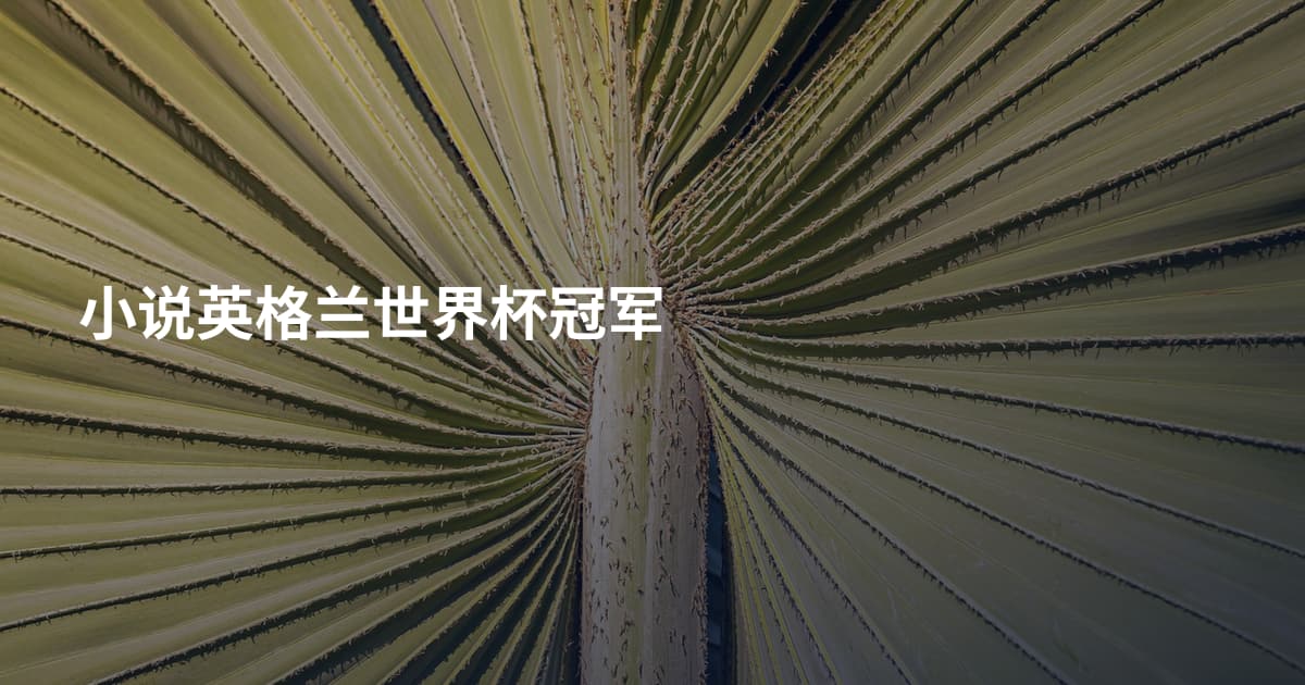 小说英格兰世界杯冠军