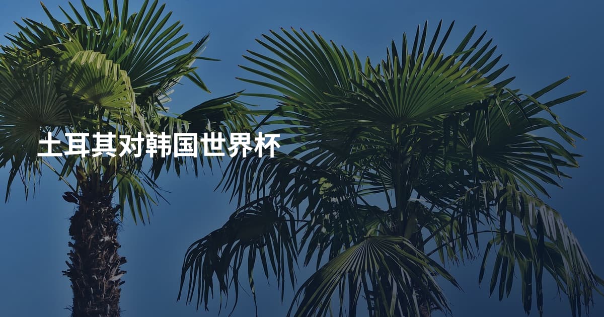 土耳其对韩国世界杯