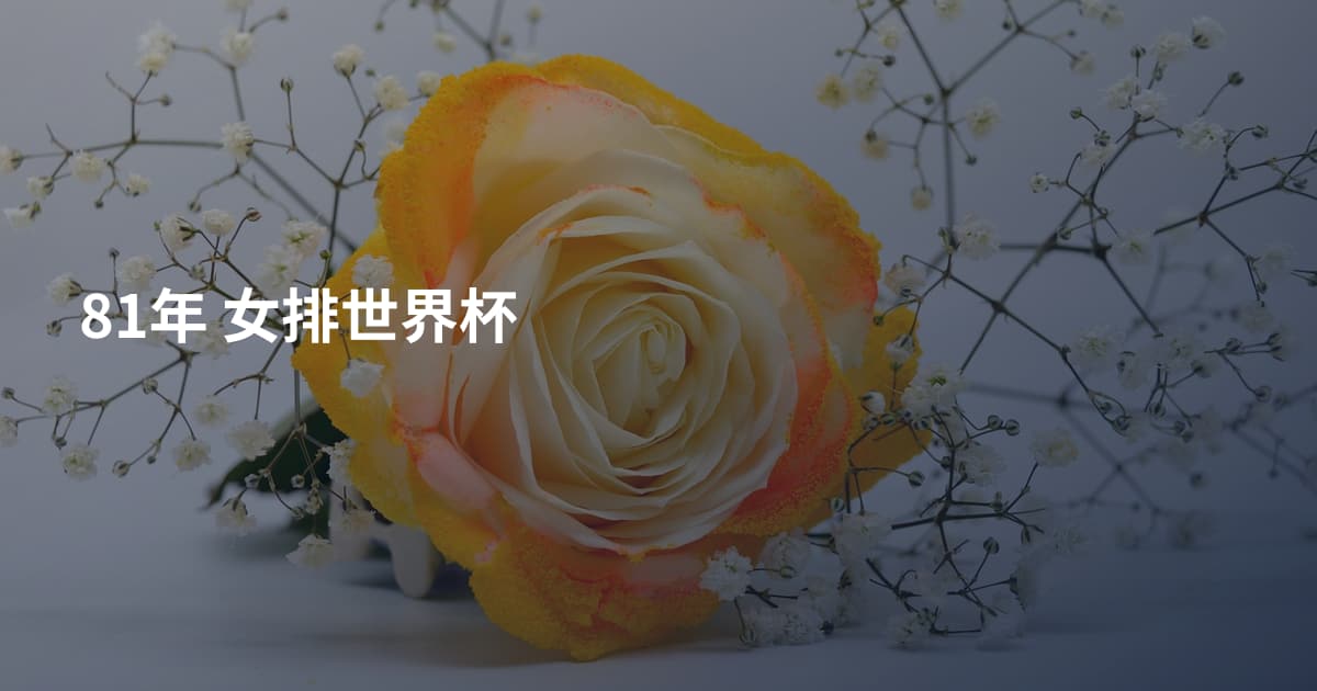81年 女排世界杯