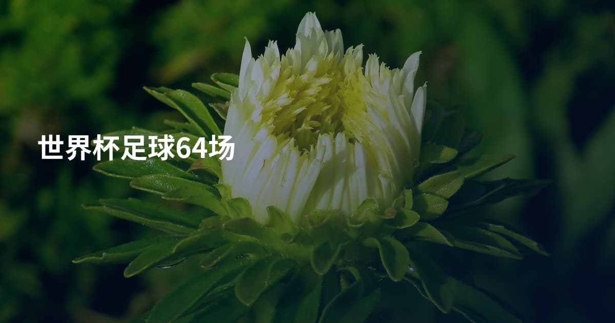 世界杯足球64场