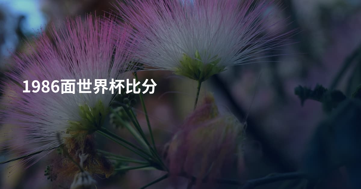 1986面世界杯比分