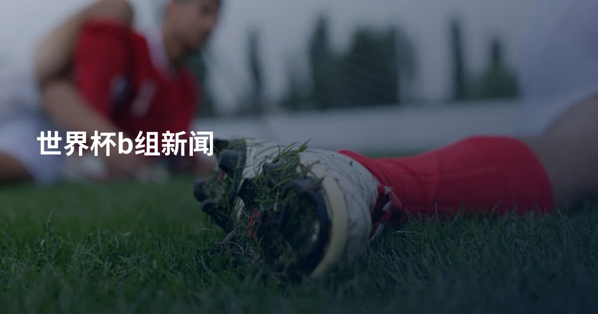 世界杯b组新闻