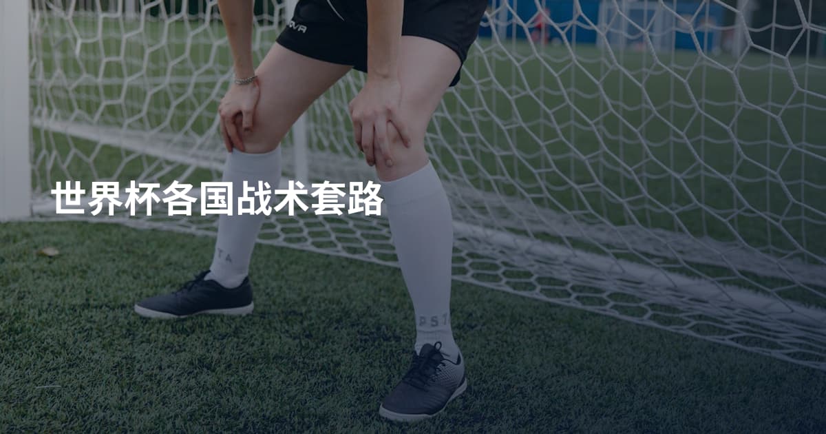 世界杯各国战术套路