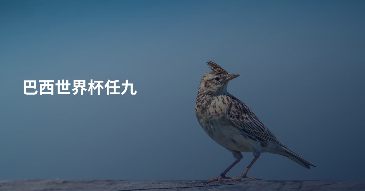 巴西世界杯任九