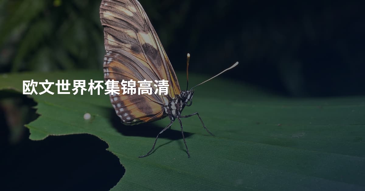 欧文世界杯集锦高清