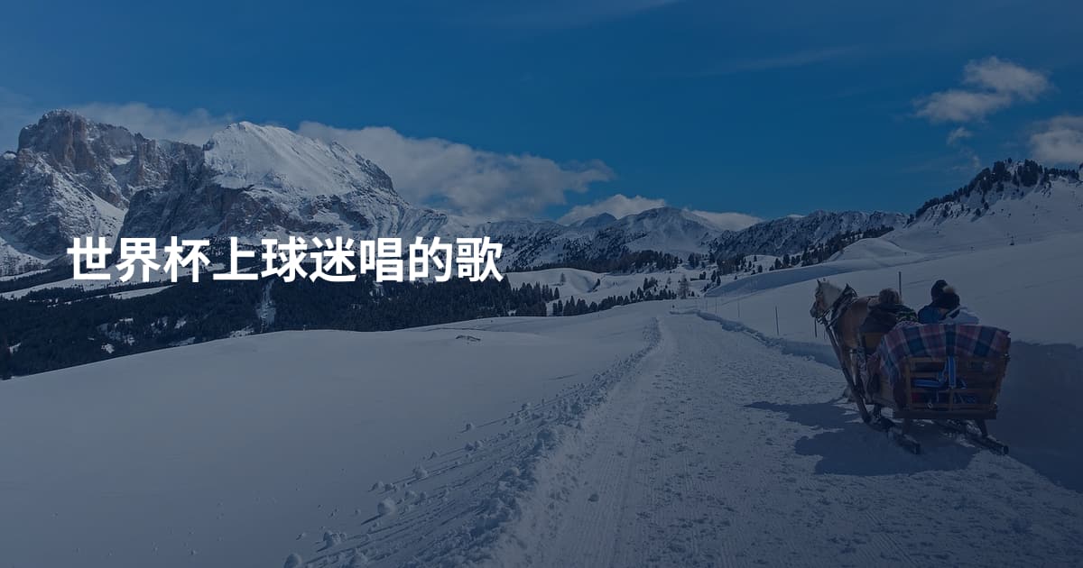 世界杯上球迷唱的歌