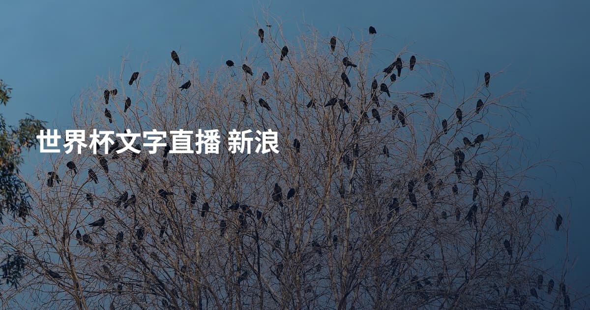 世界杯文字直播 新浪