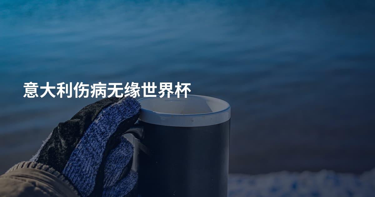 意大利伤病无缘世界杯