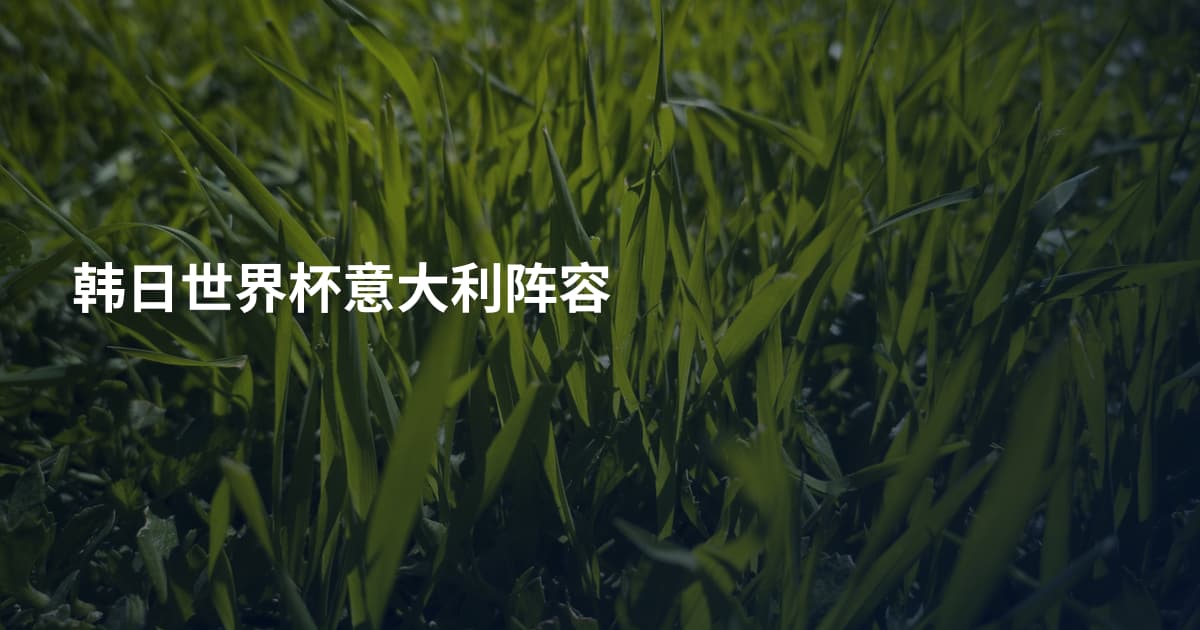 韩日世界杯意大利阵容