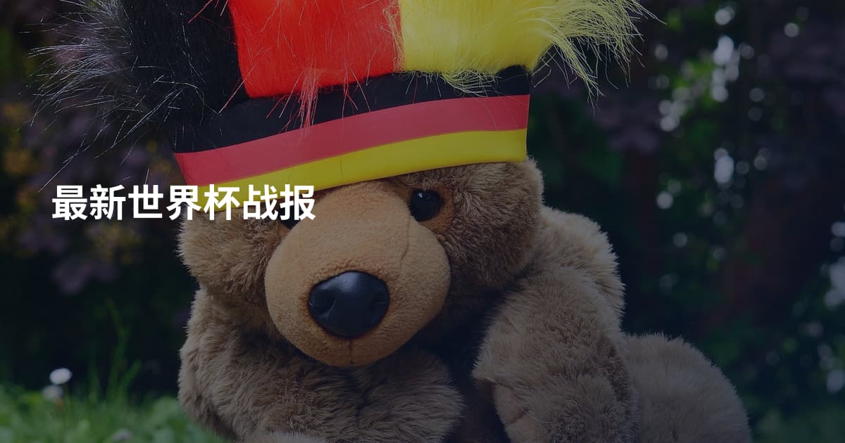 最新世界杯战报