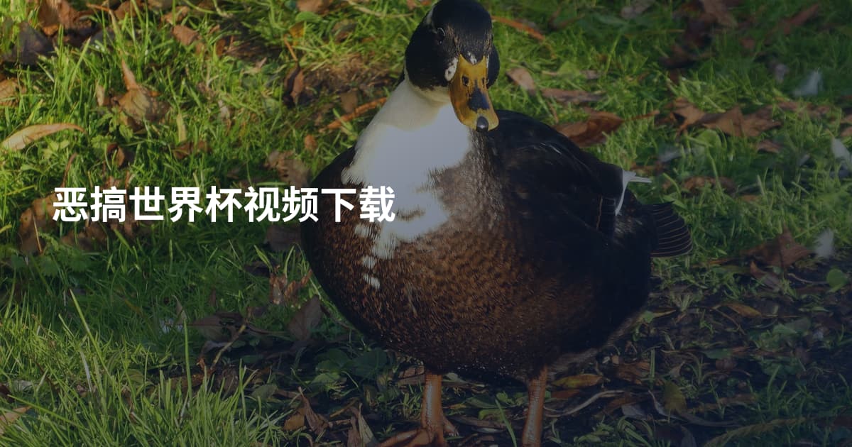 恶搞世界杯视频下载