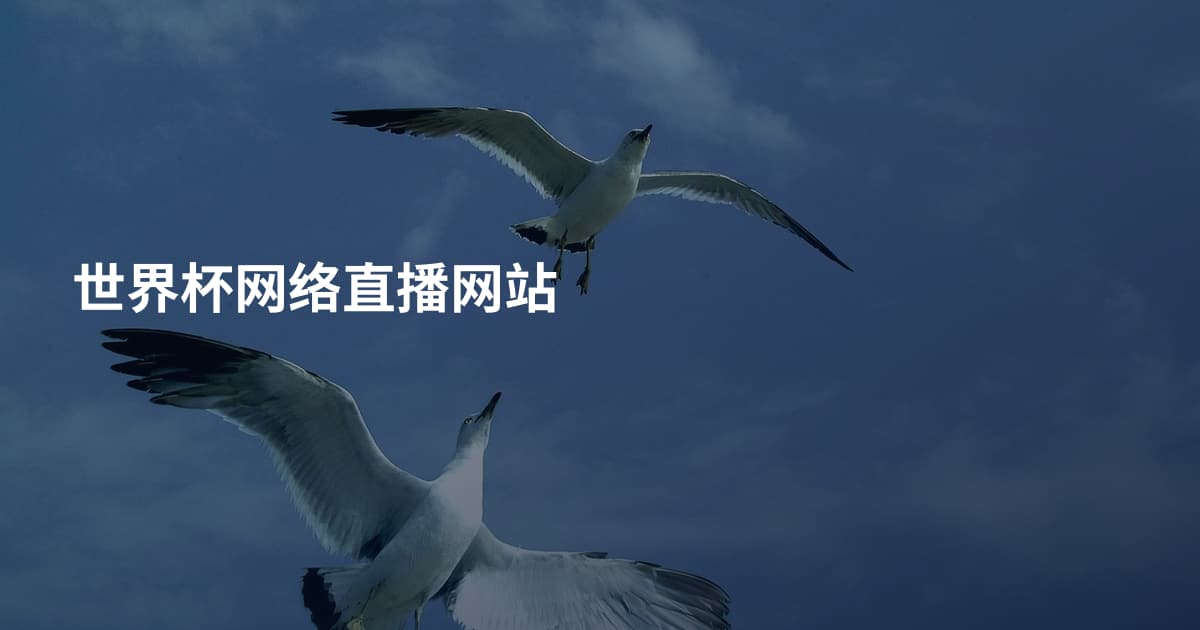 世界杯网络直播网站