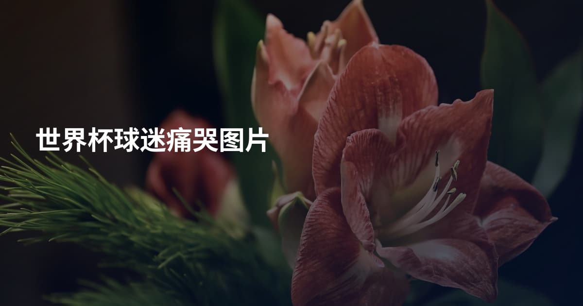 世界杯球迷痛哭图片