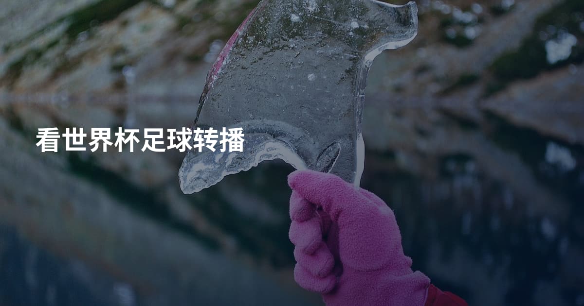 看世界杯足球转播