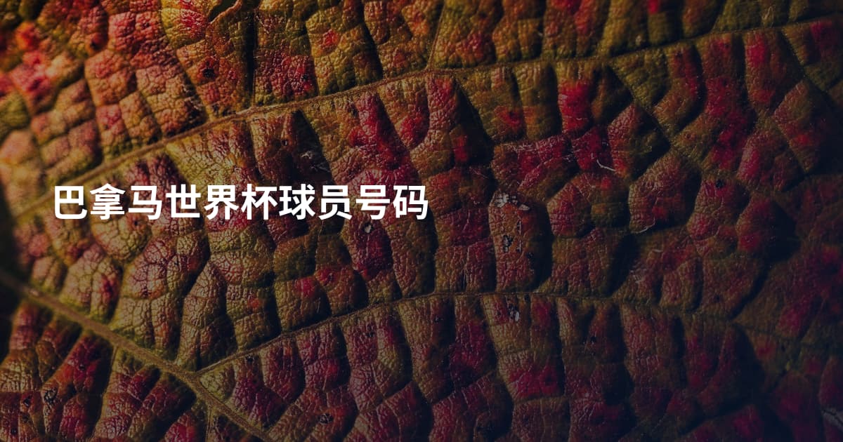 巴拿马世界杯球员号码