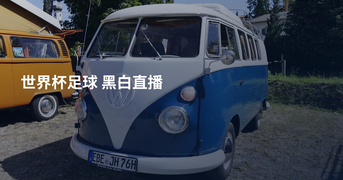 世界杯足球 黑白直播