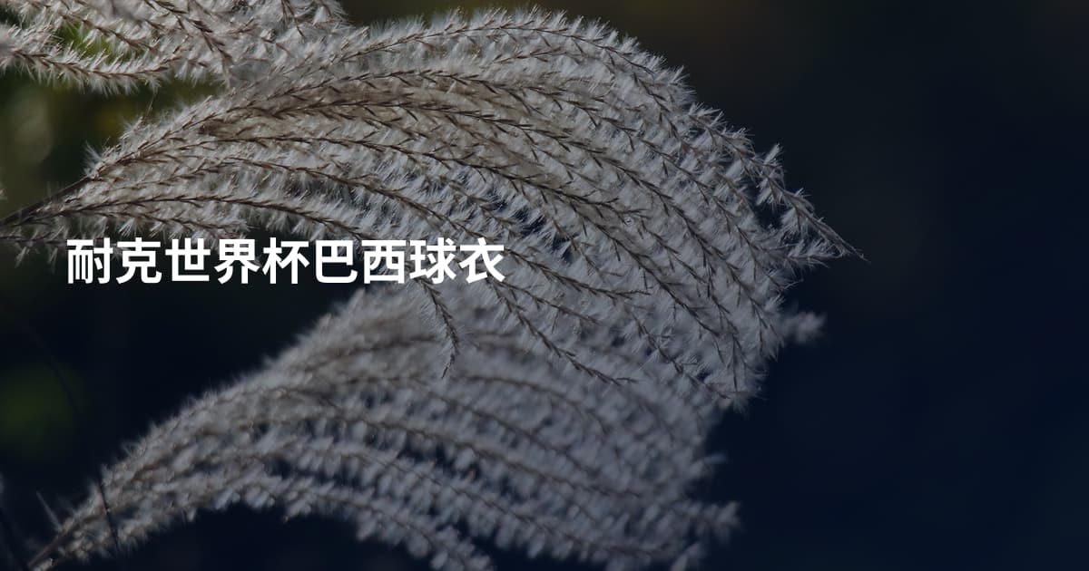 耐克世界杯巴西球衣