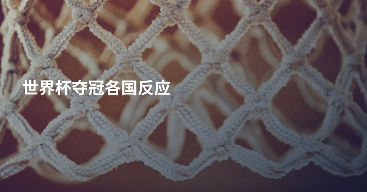 世界杯夺冠各国反应