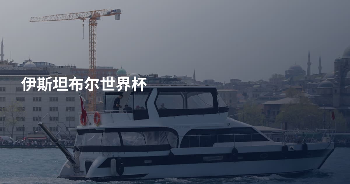 伊斯坦布尔世界杯