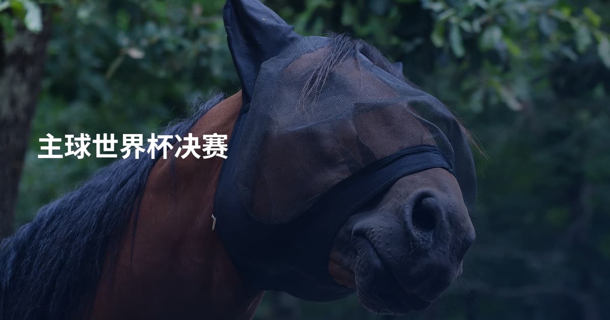 主球世界杯决赛