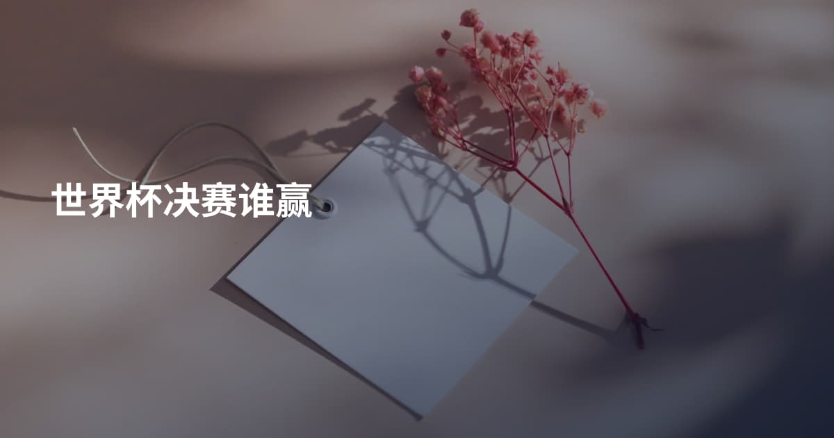 世界杯决赛谁赢