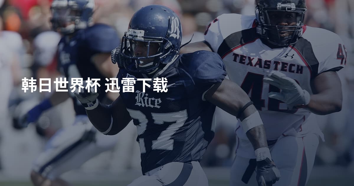 韩日世界杯 迅雷下载