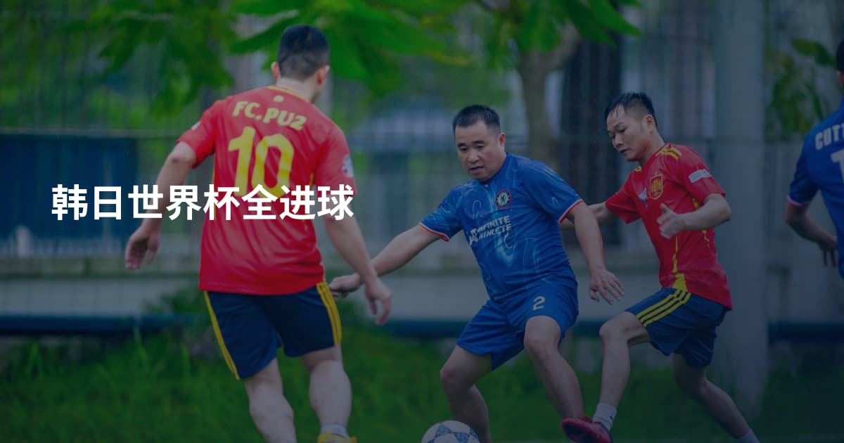 韩日世界杯全进球