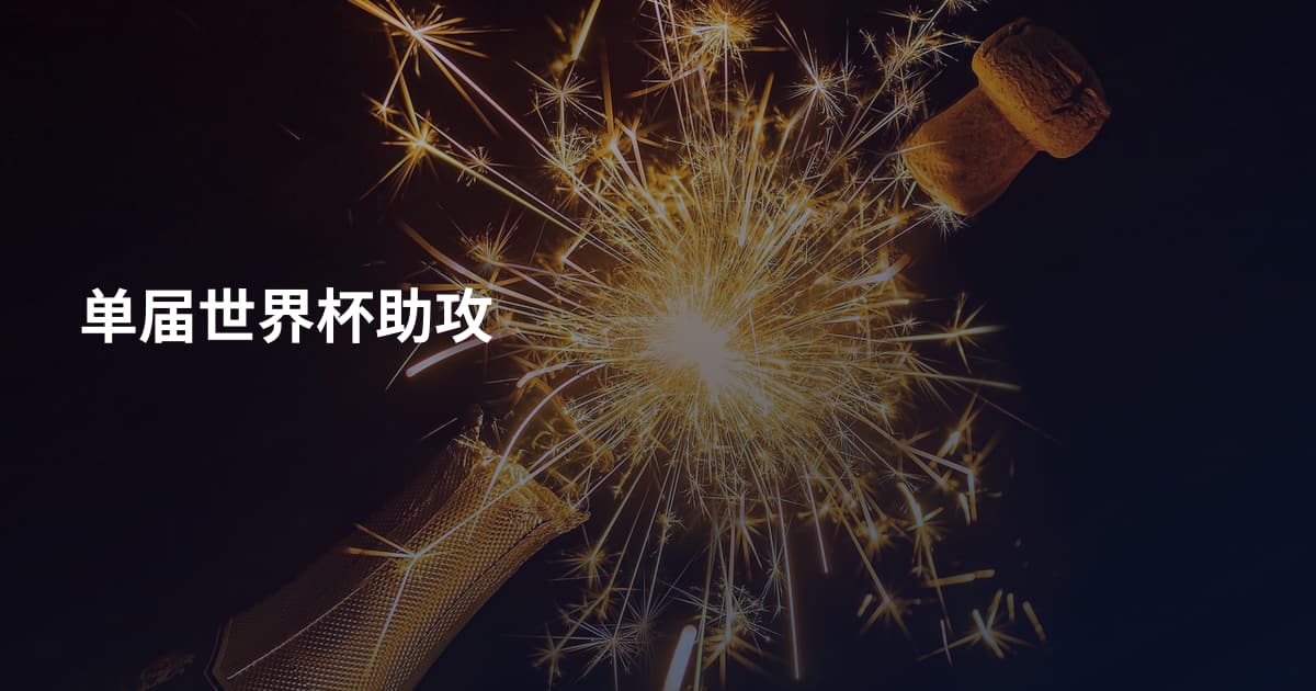 单届世界杯助攻