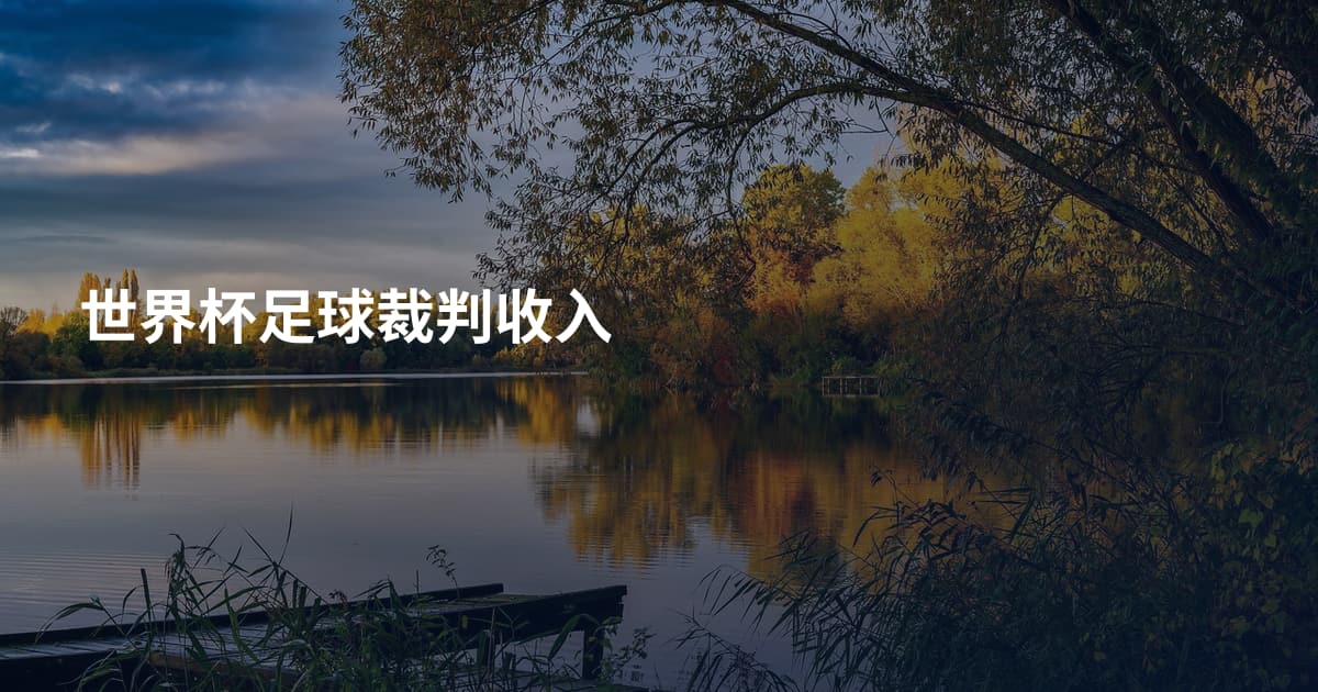 世界杯足球裁判收入