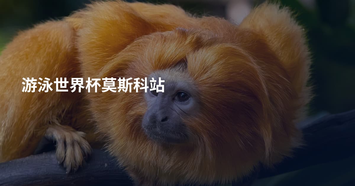 游泳世界杯莫斯科站
