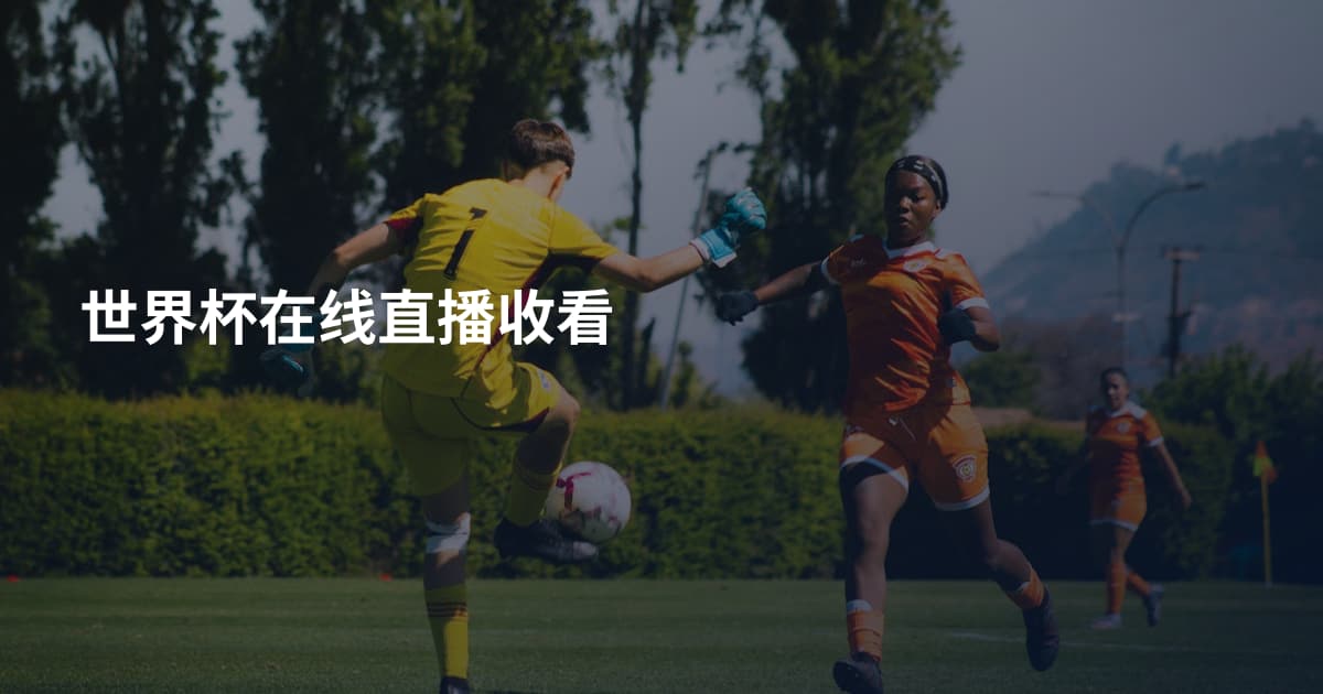 世界杯在线直播收看
