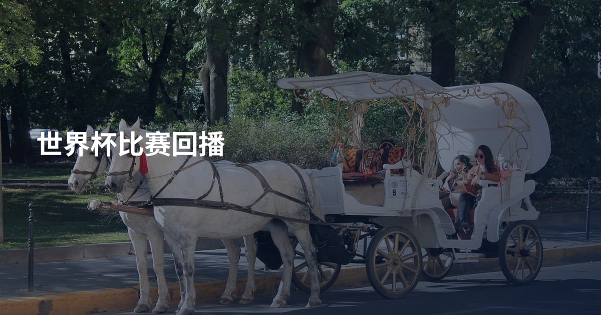世界杯比赛回播
