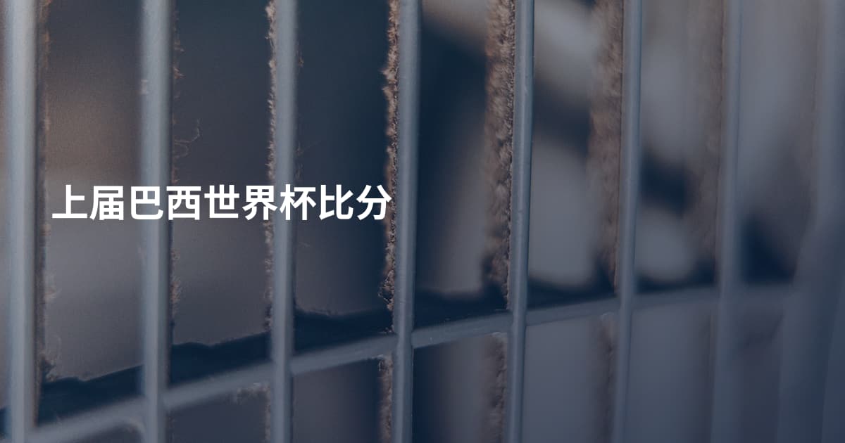 上届巴西世界杯比分