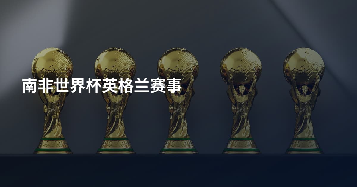 南非世界杯英格兰赛事