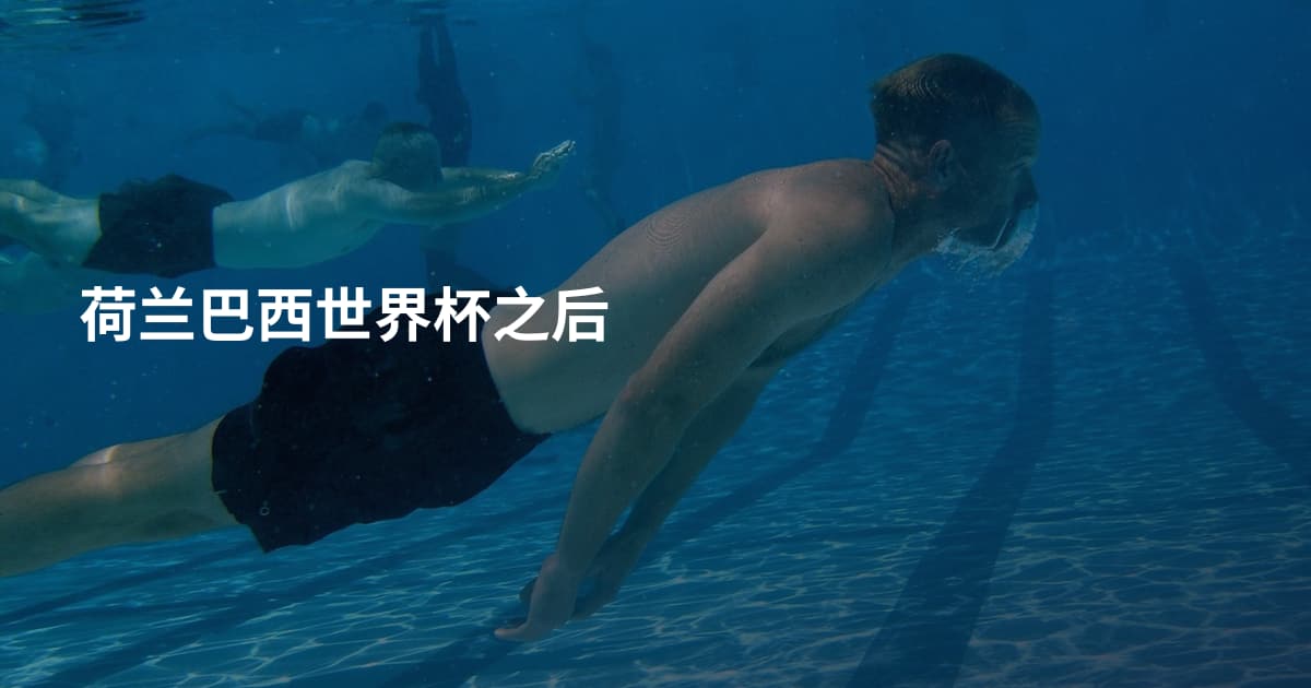 荷兰巴西世界杯之后